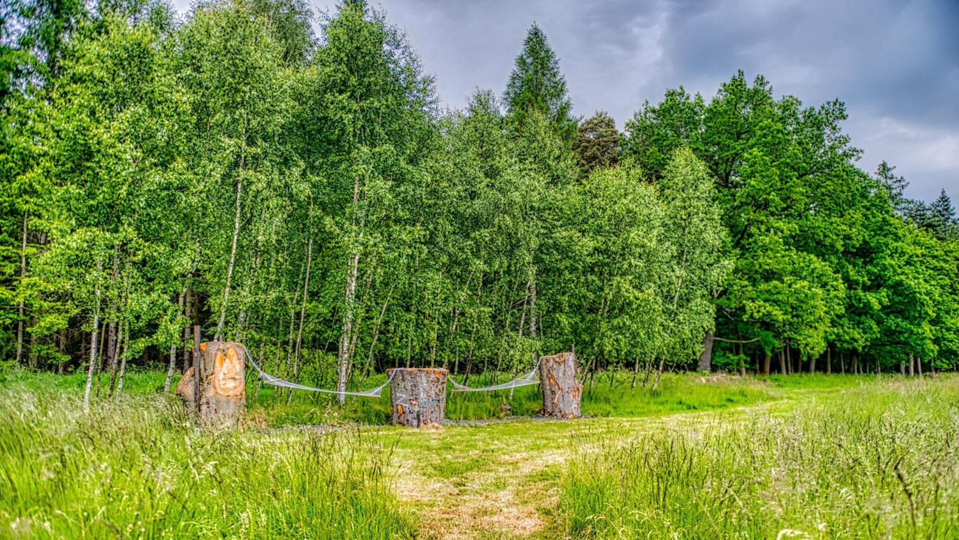 Izerska Baza - Basen, Ebike, Narty, Sauna, Jacuzzi, Las Blisko Swieradow Zdroj - 5D Apartamenty Giebultow  외부 사진